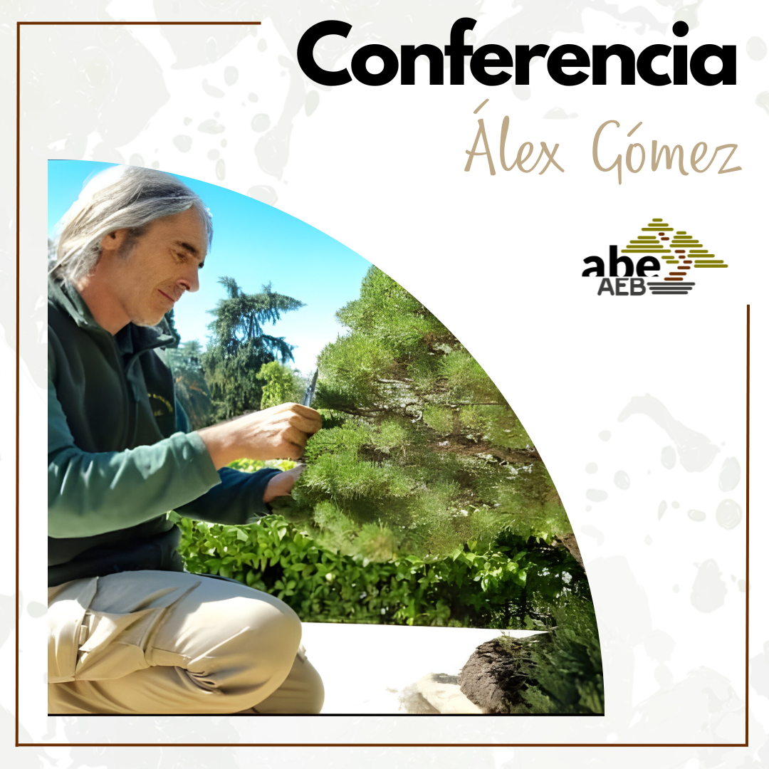 Conferencia de Álex Gómez, durante el IV Congreso Nacional ABE/AEB